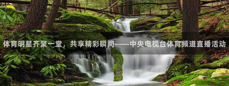 919体育直播安卓版：体育明星齐聚一堂，共享精彩瞬间——中央电视台体育频道直播活动