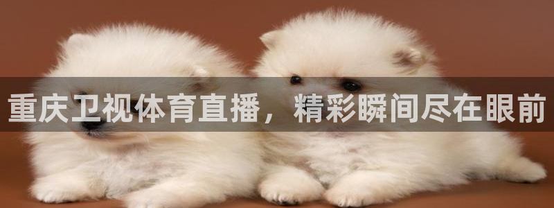 919直播平台官方网站：重庆卫视体育直播，精彩瞬间尽在眼前