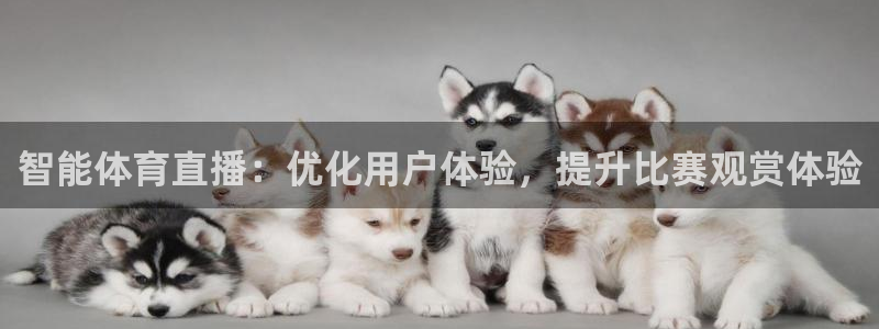 919直播看球在线观看：智能体育直播：优化用户体验，提升比赛观赏体验