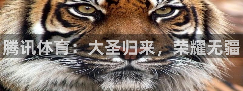 919体育直播间在线看：腾讯体育：大圣归来，荣耀无疆