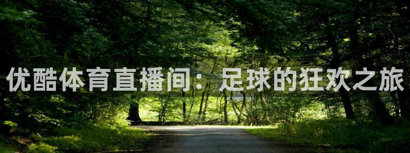 919体育直播：优酷体育直播间：足球的狂欢之旅