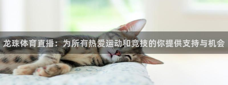 919体育直播高清在线观看：龙珠体育直播：为所有热爱运动和竞技的你提供支持与机会