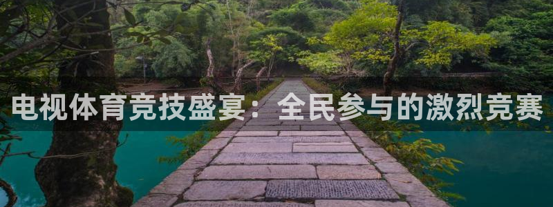 919nba直播：电视体育竞技盛宴：全民参与的激烈竞赛