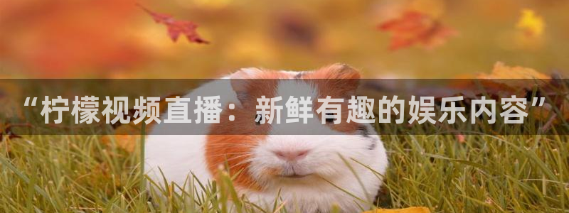 919直播足球版本1.0.7：“柠檬视频直播：新鲜有趣的娱乐内容”