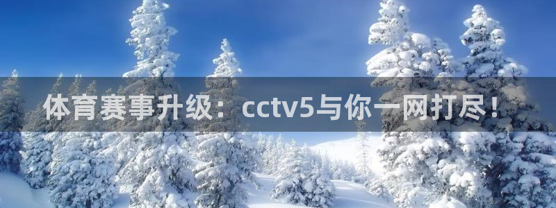 919体育直播安卓版：体育赛事升级：cctv5与你一网打尽！